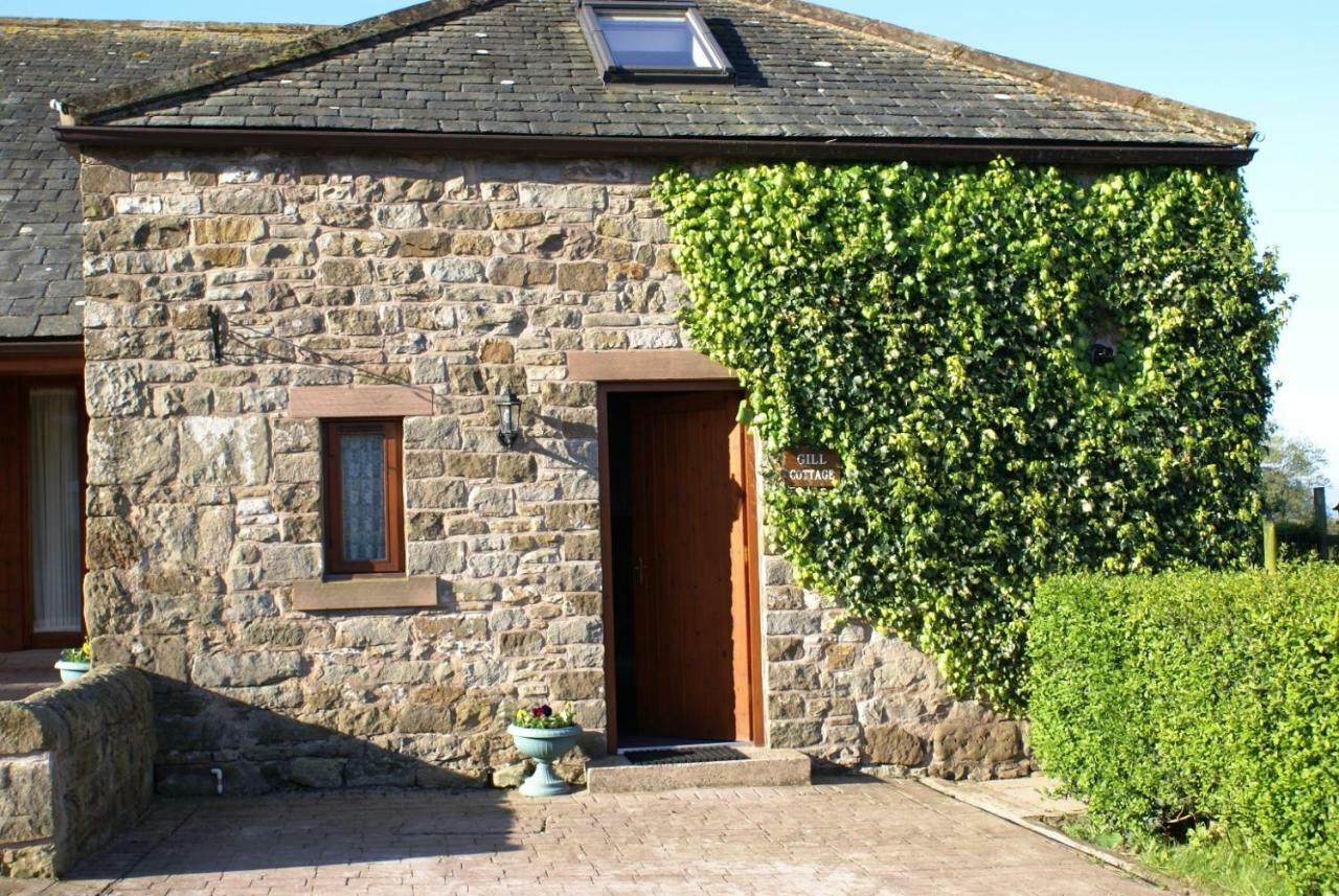 Gill Cottage Castle Carrock Exterior photo
